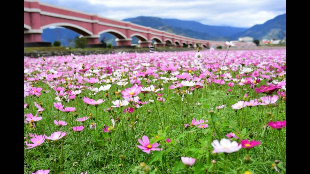 Апартаменты Rose Castle Taitung Экстерьер фото